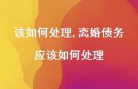 离婚债务应该如何处理(100句)