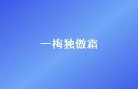 一梅独傲霜【100句精选短句合集】