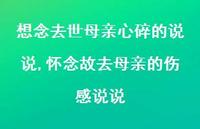 怀念故去母亲的伤感说说【精选100句】