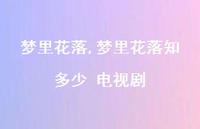 梦里花落知多少 电视剧【精品文案100句】 梦里花落知多少 电视剧【精品文案100句】