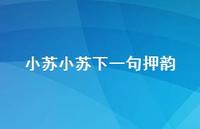小苏小苏下一句押韵59句汇总 小苏小苏下一句押韵59句汇总