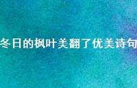 冬日的枫叶美翻了优美诗句(精选49句) 冬日的枫叶美翻了优美诗句(精选49句)