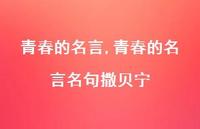 青春的名言名句撒贝宁【精品文案100句】