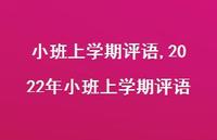 2022年小班上学期评语【精品文案100句】