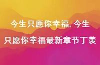 今生只愿你幸福较新章节丁羡(100句)