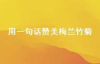 用一句话赞美梅兰竹菊(精选52句)