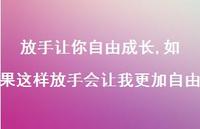 如果这样放手会让我更加自由(100句) 如果这样放手会让我更加自由(100句)