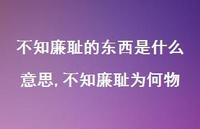 不知廉耻为何物(100句) 不知廉耻为何物(100句)