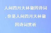 你是人间四月天林徽因诗词赏析【精品文案100句】