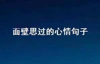 面壁思过的心情句子【100句精选短句合集】
