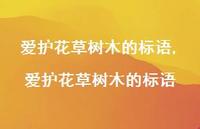 爱护花草树木的标语【精品文案100句】 爱护花草树木的标语【精品文案100句】