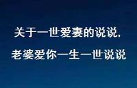 老婆爱你一生一世说说(100句)