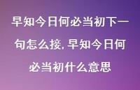 早知今日何必当初什么意思(100句) 早知今日何必当初什么意思(100句)