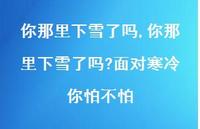 你那里下雪了吗?面对寒冷你怕不怕【100句文案精选】 你那里下雪了吗?面对寒冷你怕不怕【100句文案精选】