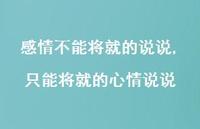 只能将就的心情说说(100句) 只能将就的心情说说(100句)