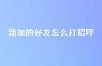 新加的好友怎么打招呼47句汇总 新加的好友怎么打招呼47句汇总