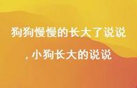 小狗长大的说说(100句) 小狗长大的说说(100句)