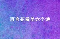百合花最美六字诗(精选50句) 百合花最美六字诗(精选50句)