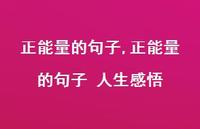 正能量的句子 人生感悟【100句文案精选】 正能量的句子 人生感悟【100句文案精选】