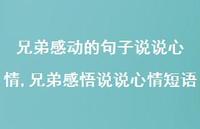 兄弟感悟说说心情短语(100句) 兄弟感悟说说心情短语(100句)