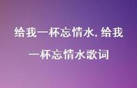 给我一杯忘情水歌词【100句文案精选】