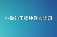 小说句子摘抄经典语录39句汇总 小说句子摘抄经典语录39句汇总