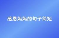感恩妈妈的句子简短50句汇总