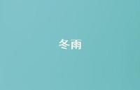 冬雨40句汇总