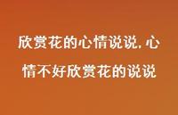 心情不好欣赏花的说说(100句)