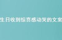 生日收到惊喜感动哭的文案【100句精选短句合集】
