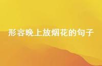 形容晚上放烟花的句子(精选54句)