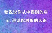 说说你对狼的认识【100句文案】 说说你对狼的认识【100句文案】