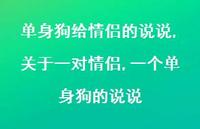 关于一对情侣,一个单身狗的说说(100句) 关于一对情侣,一个单身狗的说说(100句)