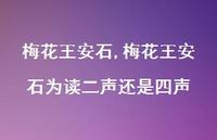 梅花王安石为读二声还是四声【100句文案精选】 梅花王安石为读二声还是四声【100句文案精选】