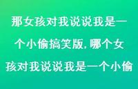哪个女孩对我说说我是一个小偷【100句文案】