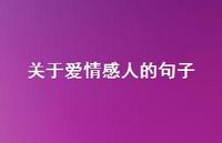 关于爱情感人的句子52句汇总