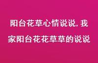 我家阳台花花草草的说说(100句)