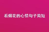 看烟花的心情句子简短(精选37句)