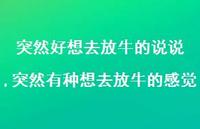 突然有种想去放牛的感觉(100句) 突然有种想去放牛的感觉(100句)