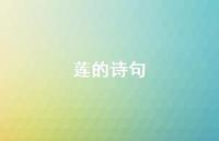 莲的诗句45句汇总 莲的诗句45句汇总