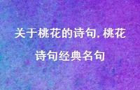 桃花诗句经典名句【精品文案100句】