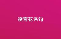 凌霄花名句(精选67句) 凌霄花名句(精选67句)