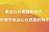 对领导表达心存感激的句子【100句文案精选】