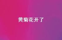 花开了57句汇总 花开了57句汇总