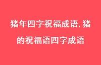 猪的祝福语四字成语【100句文案精选】 猪的祝福语四字成语【100句文案精选】