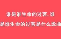 谁是谁生命的过客是什么歌曲【精选73句】