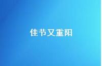 佳节又重阳73句汇总 佳节又重阳73句汇总