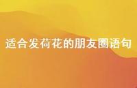 适合发荷花的朋友圈语句43句汇总