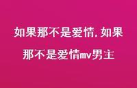 如果那不是爱情mv男主【精品文案100句】