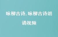 咏柳古诗朗诵视频【精品文案100句】